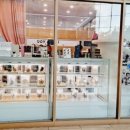 나인페츠 이미지