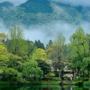 783 | 후쿠오카 유후인 1일 버스투어 4곳 비교 후기 라쿠투어 유유버스 등