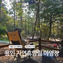 서울 근교 캠핑장 - 용인 자연휴양림 야영장 9번 데크, 명당자리 예약하는 법 &amp; 장단점, 숙소