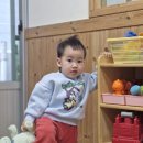 렉시 | 아이들 애착인형 추천 🦕 슈테른탈러 신상 공룡 인형 ‘렉시’ 우리 집 입양 후기