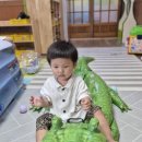 도레미어린이집 이미지