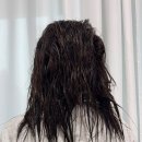 천연헤나염색약 THESUJATA 수자타 천연 헤나염색 후기