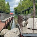 큰지붕닭갈비 이미지