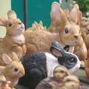 한겨레중학교 | 혼모노 뜻을 해석하면 성해나 단편집 줄거리가 보인다