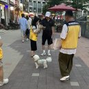펫스티벌 동물병원 이미지