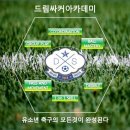 신가비