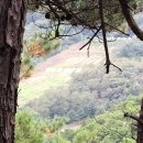 사격장앞 이미지