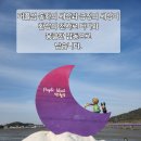＜퍼플섬＞- 신안 안좌도~반월도~박지도 환상의 보랏빛 섬 25년 4월 1박2일 STORY- 02, 이미지