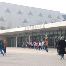 더불어사는우리 만나무료급식소 | 이집트 여행 1일차_카이로(이집트 대박물관 예약 입장료/ 투탕카멘/ 기념품/ 기자 맥주 술 파는 곳...