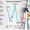 안나네 이미지