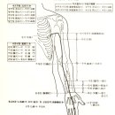 내방역 4번출구 횡단보도 이미지