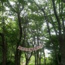 강아지와 산책 이미지