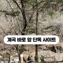 드래곤오토캠핑장 이미지