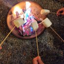 정글펜션 이미지