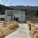 다강산방 | 청도 퍼즈글램핑 E.01 :: 3월 방문 후기, 감성 글램핑 추천, 부산근교 글램핑 🍵