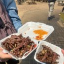 아프리카 여행 7일차 - 나미비아 레드아프리카 빈트후크 시내 투어 현지식 체험 맛집 추천