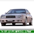 이브올루션 이미지