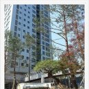 설레임공인중개사사무소 이미지