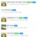 충주난 이미지