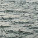 새나루쉼터 이미지