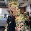 구김스테이 | [하객룩 코디]하객룩의 정석, 악녀일기 '스테이 트위드' 투피스 세트 리얼 후기