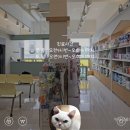 미사서울동물병원 네이버블로그