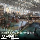 아쿠아 소프트 | 비발디파크 오션월드 겨울 준비물 수건 아쿠아슈즈 구명조끼