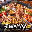 언제나꽃돼지 | 경산 고기집 꽃돼지식당 경산점, 직접 구워주는 꽃돼지 모듬구이와 볶음밥 후기
