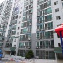 산호동333 이미지