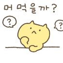 샐로 네이버블로그