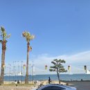 광안리 해피몽크 해변 라운지 바 후기｜모히또 한 잔에 담긴 바다의 여유