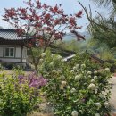 한솔펜션2 이미지