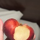 달복농원