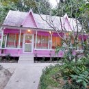 핑크하우스 이미지