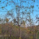 수양시장 이미지