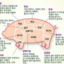돼지소한마리 이미지