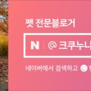 네파문정 이미지