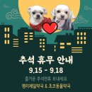 평리제일약국 이미지