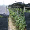 (주)순안 이미지