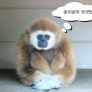 별빛너머 이미지