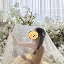 어반 17 헤어