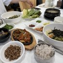 카페 드롭탑 보성율포점 | 대한다원 보성녹차밭 당일치기 여행 후기 | 주차, 코스, 맛집