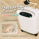모든렌탈 | 강아지산소방 세이버펫산소발생기 2주 렌탈 장단점 솔직후기, 사용법부터 꿀팁까지