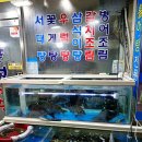 세븐일레븐 광주남광주시장점 | 광주 남광주시장 새조개 샤브샤브 맛집 풍성식당 15만원 후기 달다 달아