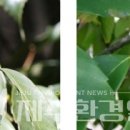 ㈜자생환경 이미지