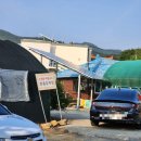 두구동 맛집 스포원파크 근처 손영환 비빔국수