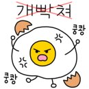 도그베이 이미지