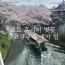 역사가 흐르는 탐진강 전통 흥 | 교토 후시미 벚꽃｜4월 실시간 사쿠라마츠리 후기 + 짓코쿠부네 예약 방법 총정리(2026)