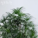 농수산물유통공사(1) 지하 1층