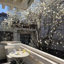 사월역 2번 출구 뒤 이미지